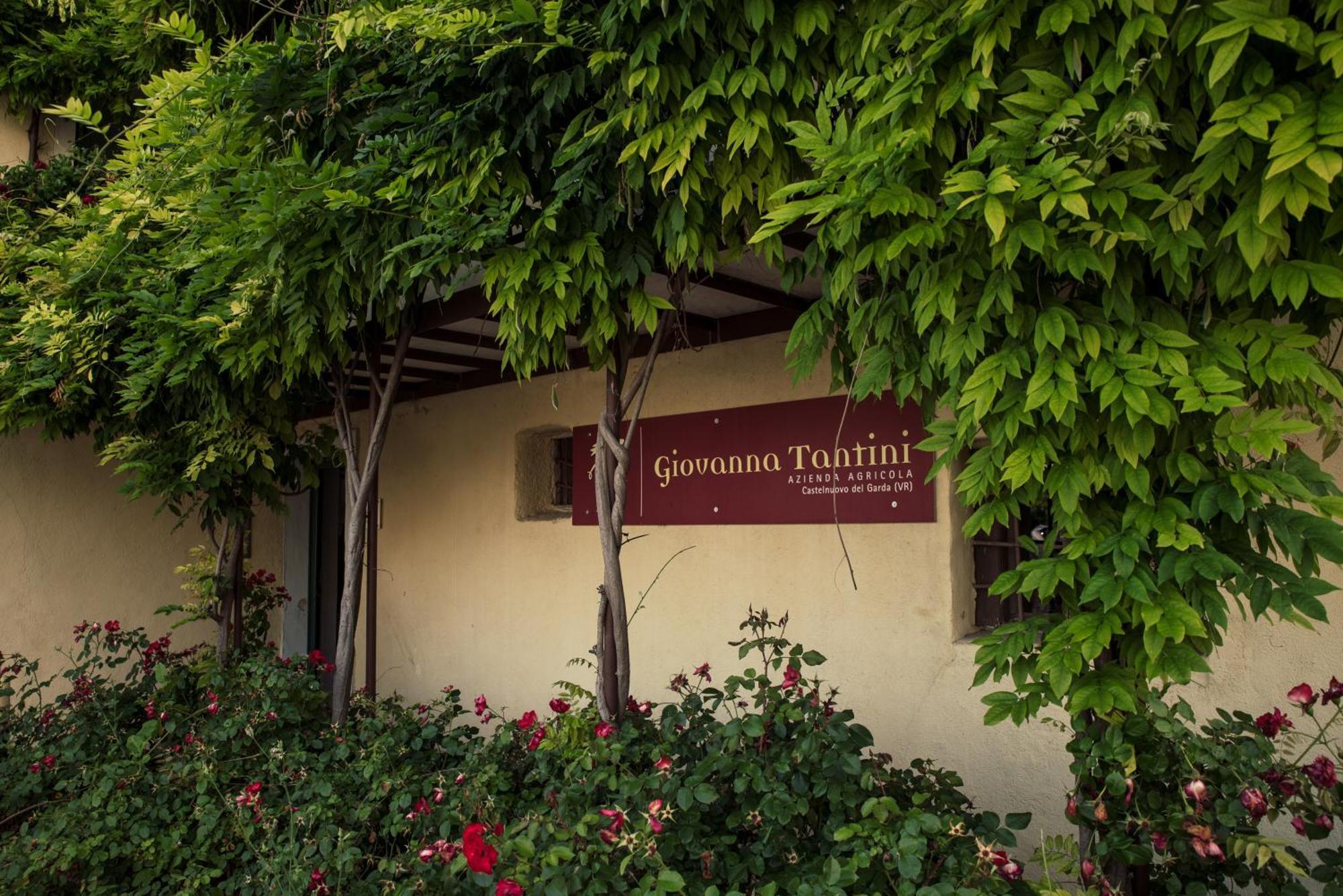 Agriturismo I Mischi Castelnuovo del Garda Exterior foto