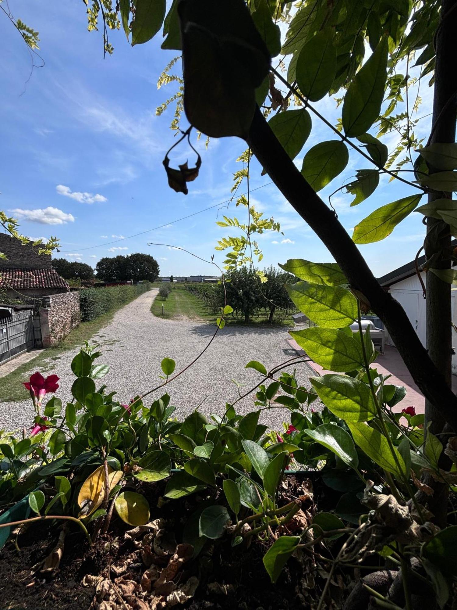 Agriturismo I Mischi Castelnuovo del Garda Exterior foto